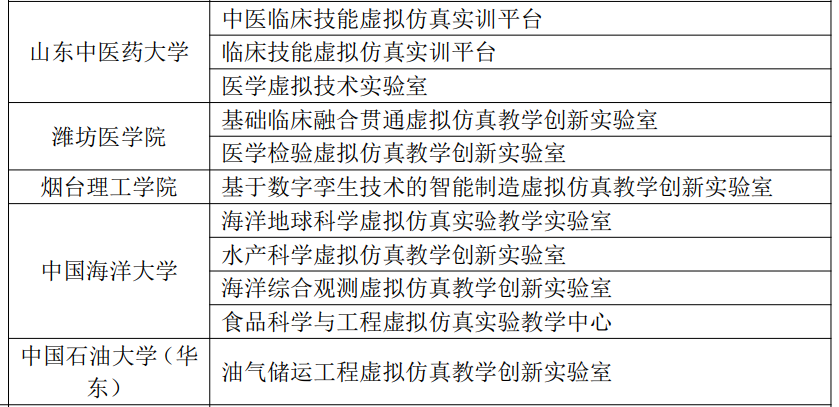 我校入选教育部“虚拟仿真教学创新实验室项目”案例团队